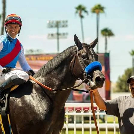 Smiling jockey in blue-and-red silks sits on a dark racehorse with blue blinkers.