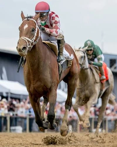 Jockey in red-and-white silks rides a chestnut racehorse ahead of the field.