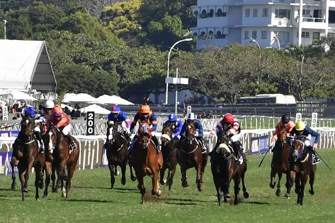 Horse racing field competes on the turf at a crowded racecourse.