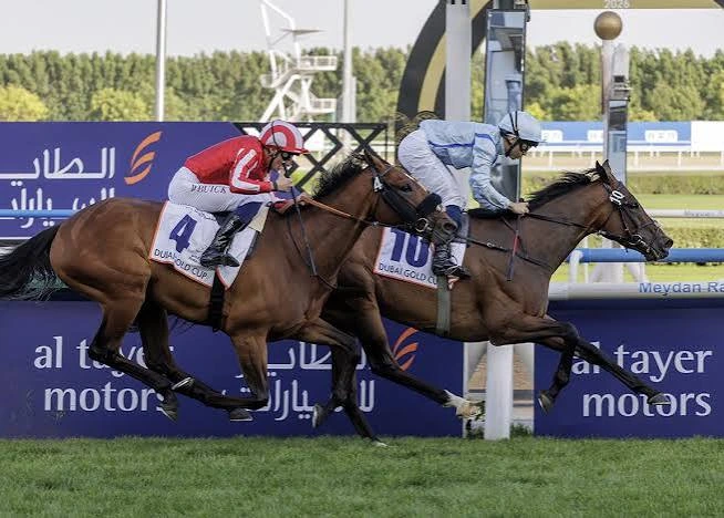 Two racehorses battle to the finish line in the Dubai Gold Cup.