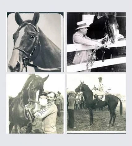 Historic collage shows a racehorse with handlers, jockey and winner’s circle scenes.