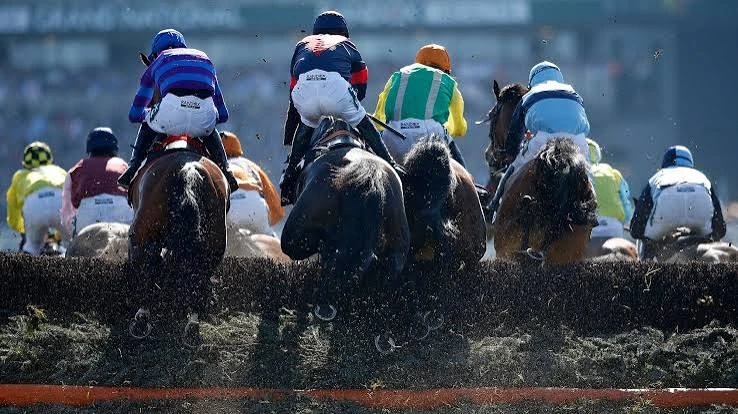 Jockeys race horses over a steeplechase fence during a crowded event.