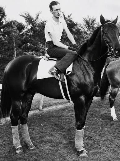 Man sits on a dark racehorse with bandaged legs in a historic photograph.